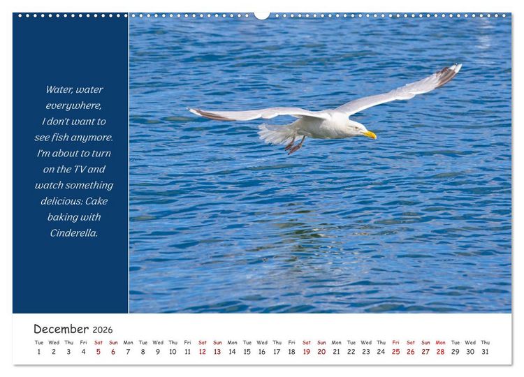 Produktbild: Animals like humour (High Quality Premium Wall Calendar 2026 DIN A2 landscape),CALVENDO 12 Month Wall Calendar