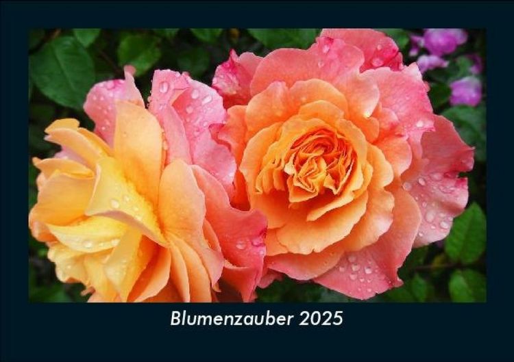 Produktbild: Blumenzauber 2025 Fotokalender DIN A5
