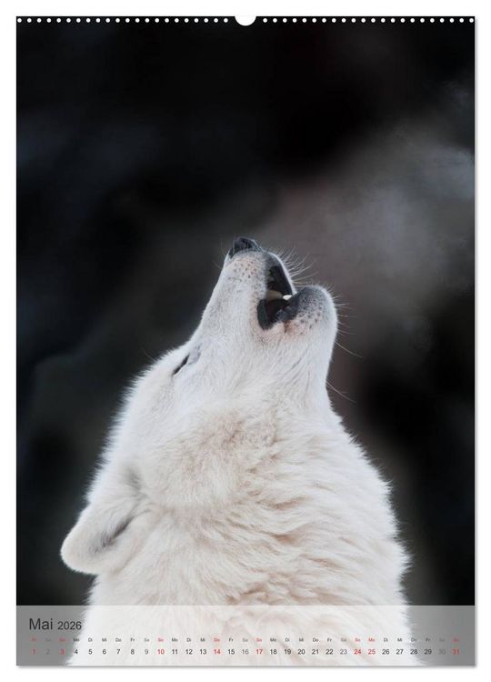 Produktbild: Emotionale Momente: Der Wolf. (hochwertiger Premium Wandkalender 2026 DIN A2 hoch), Kunstdruck in Hochglanz