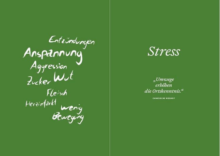 Produktbild: Frei von Stress durch die Heilung der Mitte