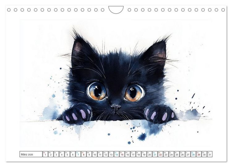 Produktbild: Samtpfoten-Sinfonie (Wandkalender 2026 DIN A4 quer), CALVENDO Monatskalender