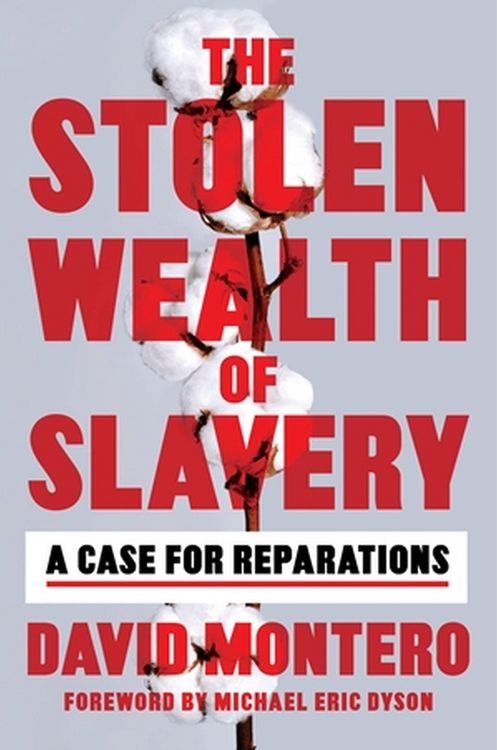 Produktbild: The Stolen Wealth of Slavery
