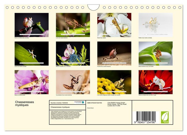 Produktbild: Chasseresses mystiques (Calendrier mural 2026 DIN A4 vertical), CALVENDO calendrier mensuel