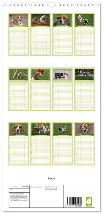 Produktbild: Familienplaner 2026 - Beagle mit 5 Spalten (Wandkalender, 21 x 45 cm) CALVENDO