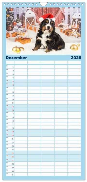 Produktbild: Familienplaner 2026 - Berner Sennenhunde - Faszinierende Herzensbrecher mit 5 Spalten (Wandkalender, 21 x 45 cm) CALVENDO