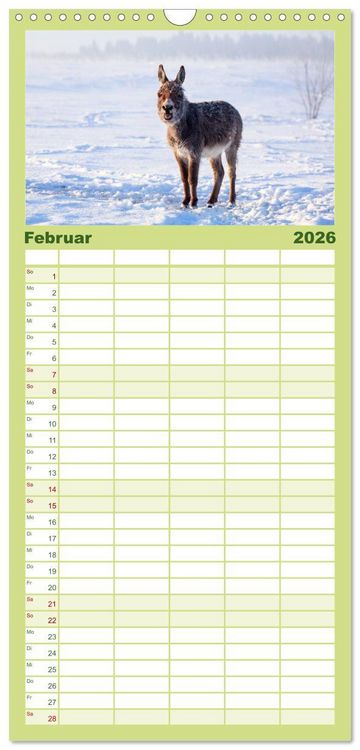 Produktbild: Familienplaner 2026 - Das Esel-Paradies - Hunde und andere Feunde mit 5 Spalten (Wandkalender, 21 x 45 cm) CALVENDO