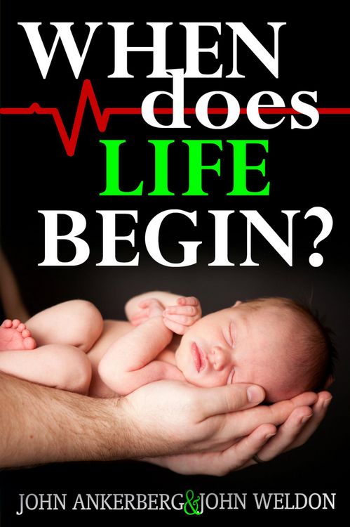 Produktbild: When Does Life Begin? And 39 Other Tough Questions About Abortion