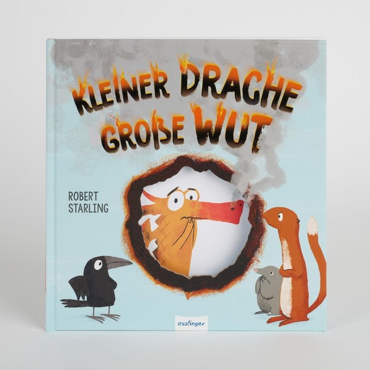 Produktbild: Kleiner Drache Finn: Kleiner Drache &ndash; gro&szlig;e Wut