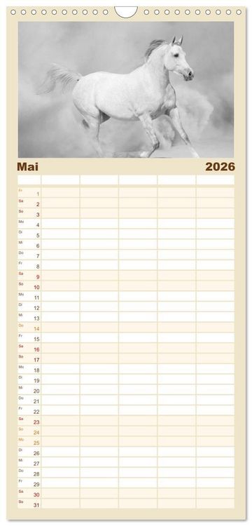 Produktbild: Familienplaner 2026 - Arabische Pferde mit 5 Spalten (Wandkalender, 21 x 45 cm) CALVENDO