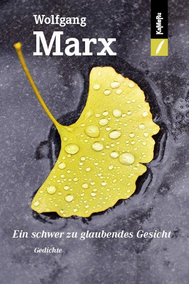 Produktbild: Ein schwer zu glaubendes Gesicht