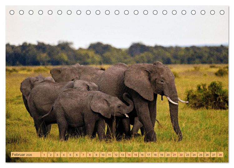 Produktbild: Magische Momente aus Kenia (Tischkalender 2026 DIN A5 quer), CALVENDO Monatskalender