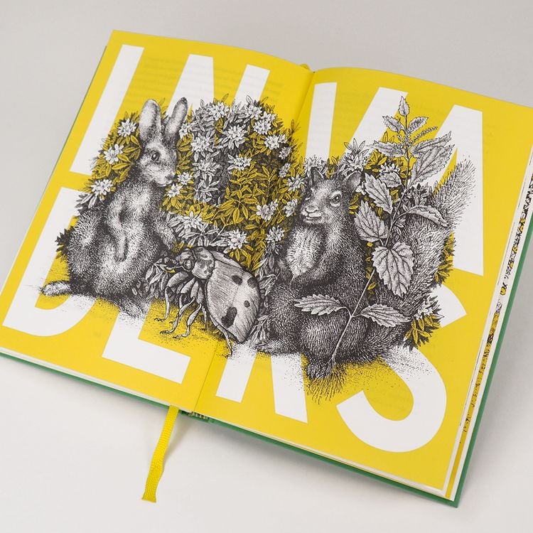 Produktbild: Wildlife Gardening