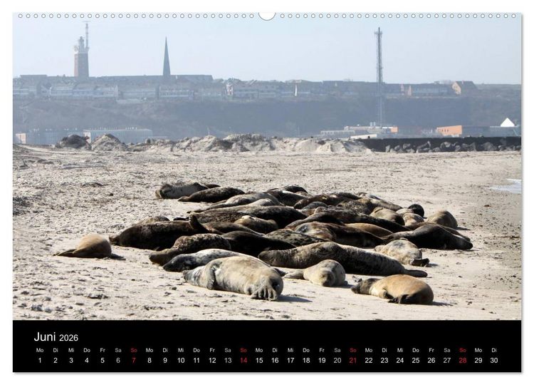 Produktbild: Helgoland (Wandkalender 2026 DIN A2 quer), CALVENDO Monatskalender