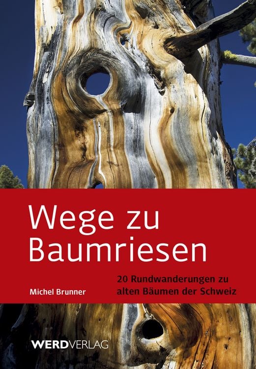 Produktbild: Wege zu Baumriesen