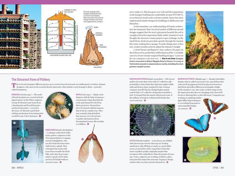 Produktbild: Atlas Obscura: Wild Life