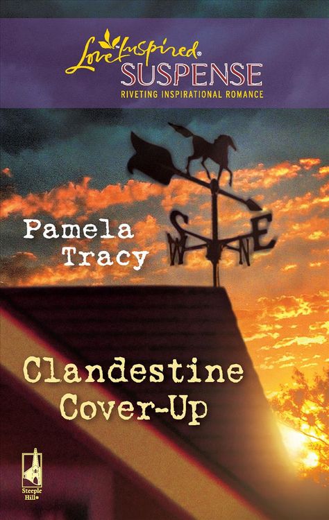 Produktbild: Clandestine Cover-Up