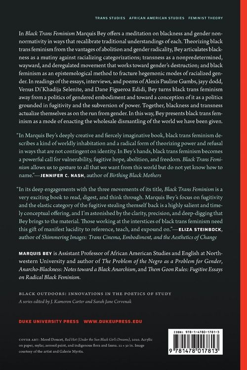 Produktbild: Black Trans Feminism