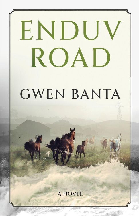 Produktbild: Enduv Road