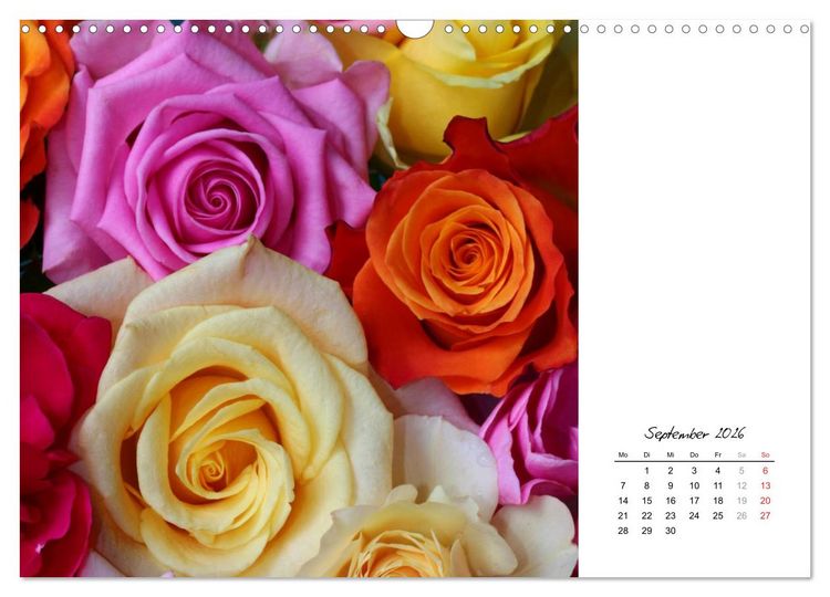 Produktbild: Die vielen Gesichter der Rosen (Wandkalender 2026 DIN A3 quer), CALVENDO Monatskalender