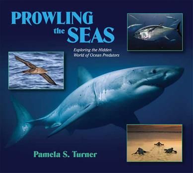 Produktbild: Prowling The Seas