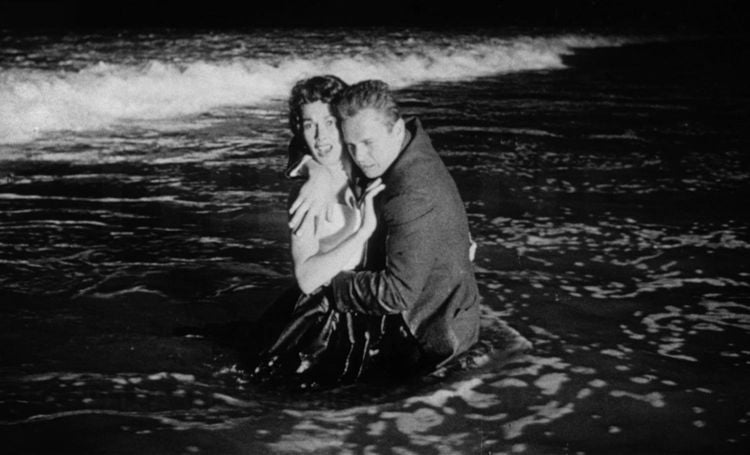 Rattennest (Kiss Me Deadly)