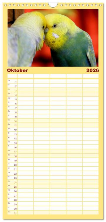 Produktbild: Familienplaner 2026 - Wellensittichkalender! - Das Original mit 5 Spalten (Wandkalender, 21 x 45 cm) CALVENDO