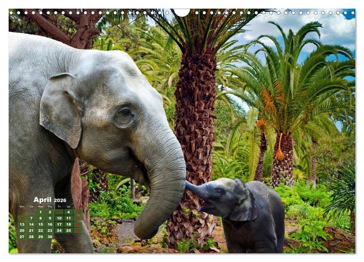 Produktbild: Gentle giants in the jungle (Wall Calendar 2026 DIN A3 landscape), CALVENDO 12 Month Wall Calendar