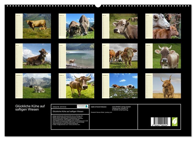 Produktbild: Gl&uuml;ckliche K&uuml;he auf saftigen Wiesen (hochwertiger Premium Wandkalender 2026 DIN A2 quer), Kunstdruck in Hochglanz