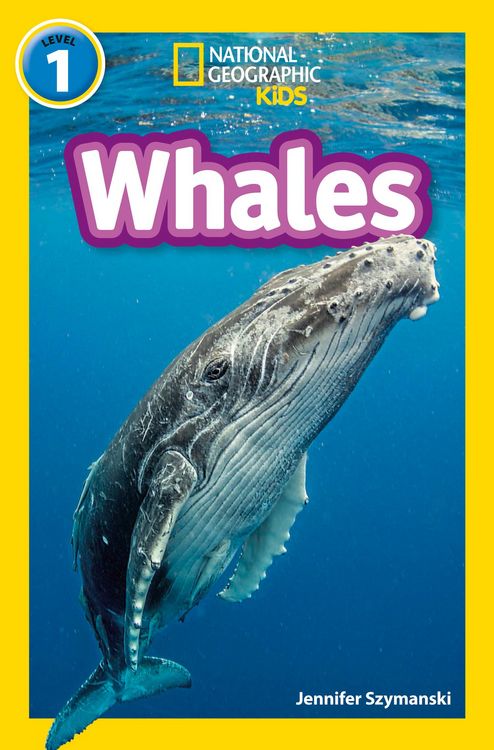Produktbild: Nat Geo Reader - Whales L1