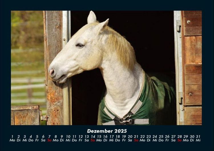 Produktbild: Die Welt der Pferde 2025 Fotokalender DIN A4