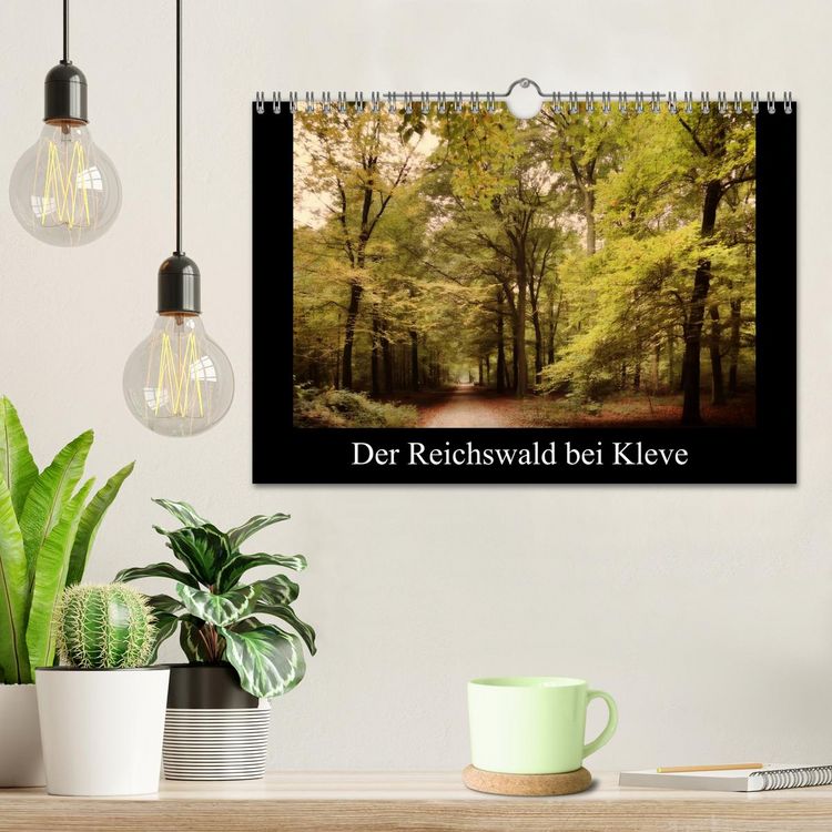 Produktbild: Der Reichswald bei Kleve (Wandkalender 2026 DIN A4 quer), CALVENDO Monatskalender