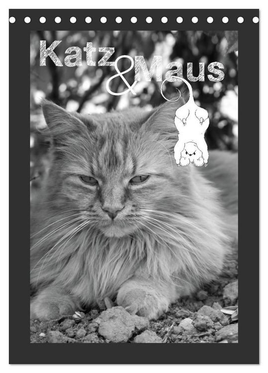 Produktbild: Katz & Maus (Tischkalender 2026 DIN A5 hoch), CALVENDO Monatskalender