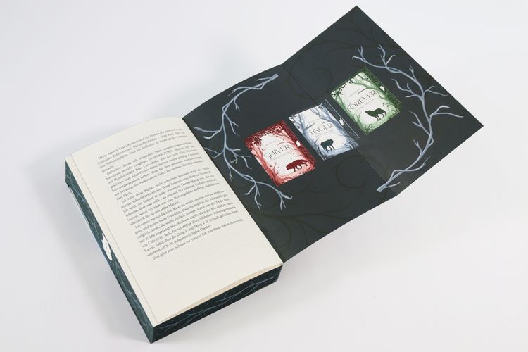 Produktbild: Linger (Die W&ouml;lfe von Mercy Falls, Band 2)