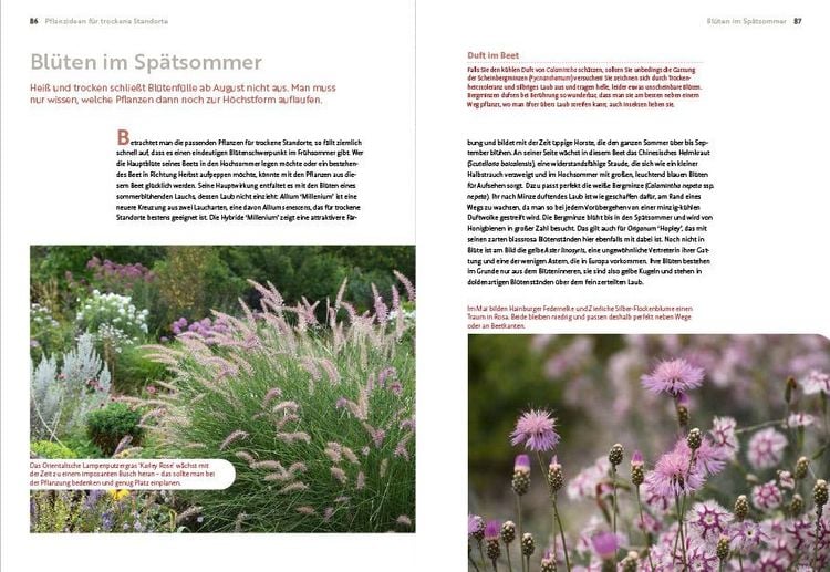 Produktbild: Echte Hitzeprofis