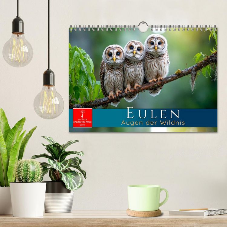 Produktbild: Eulen - Augen der Wildnis (Wandkalender 2026 DIN A4 quer), CALVENDO Monatskalender
