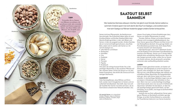 Produktbild: Frische Ernte zum kleinen Preis