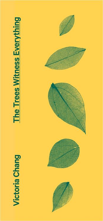 Produktbild: The Trees Witness Everything