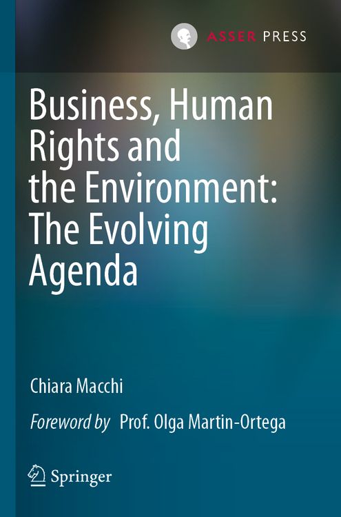 Produktbild: Business, Human Rights and the Environment: The Evolving Agenda