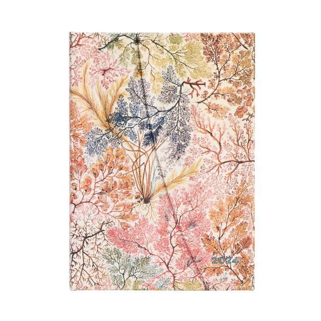 Produktbild: Paperblanks 2024 Anemone William Kilburn 12-Month MIDI Horiz