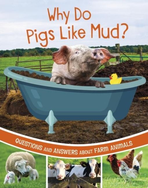 Produktbild: Why Do Pigs Like Mud?