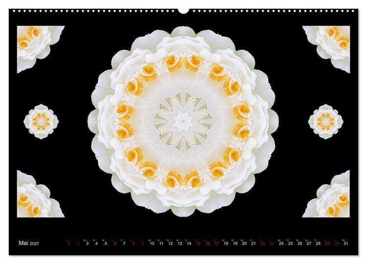 Produktbild: ROSEN MANDALAS (hochwertiger Premium Wandkalender 2027 DIN A2 quer), Kunstdruck in Hochglanz