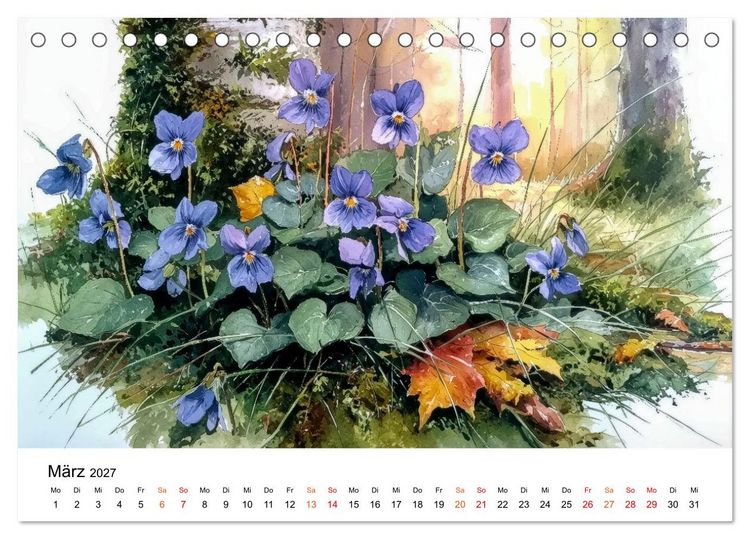 Produktbild: Wildblumen zwischen Moos und Farn (Tischkalender 2027 DIN A5 quer), CALVENDO Monatskalender