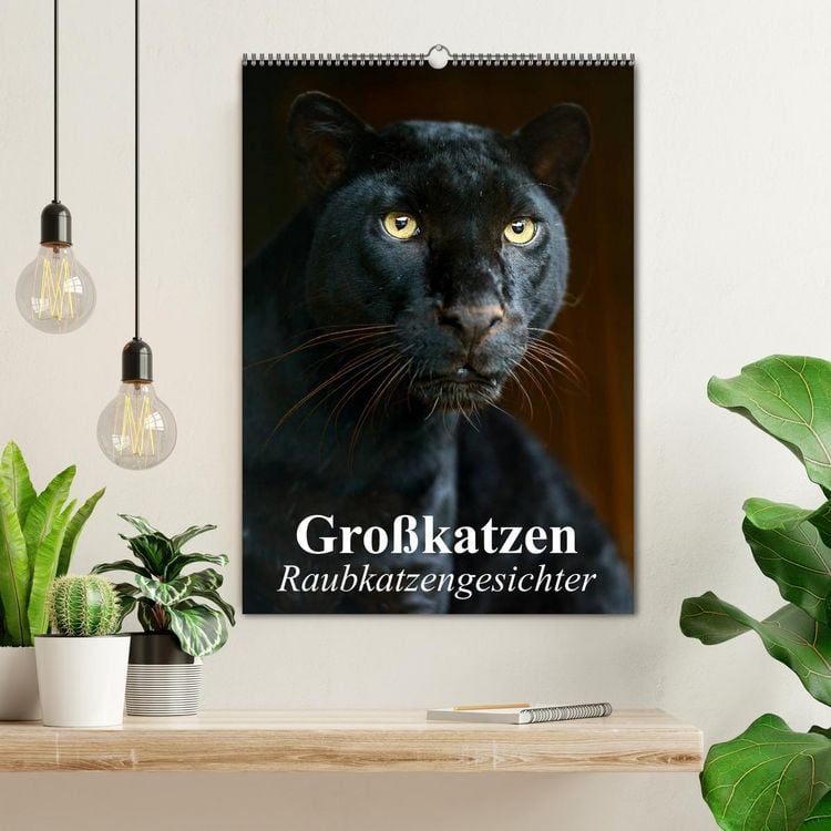 Produktbild: Gro&szlig;katzen. Raubkatzengesichter (Wandkalender 2026 DIN A2 hoch), CALVENDO Monatskalender