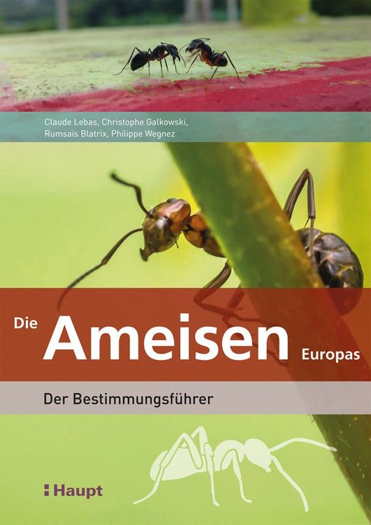 Produktbild: Die Ameisen Europas