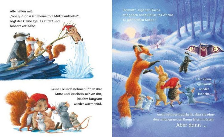 Produktbild: Der kleine Igel und die wahre Weihnachtsfreude