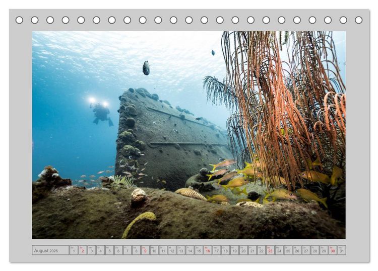 Produktbild: Karibische Meerblicke (Tischkalender 2026 DIN A5 quer), CALVENDO Monatskalender