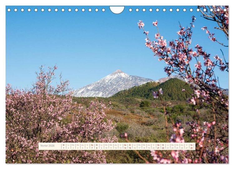 Produktbild: La Magie de T&eacute;n&eacute;riffe (Calendrier mural 2026 DIN A4 vertical), CALVENDO calendrier mensuel