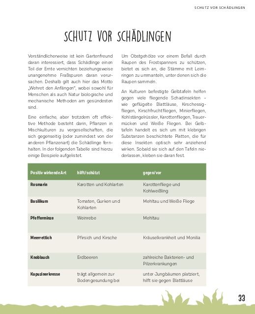 Produktbild: Gro&szlig;e Ernte aus kleinen G&auml;rten