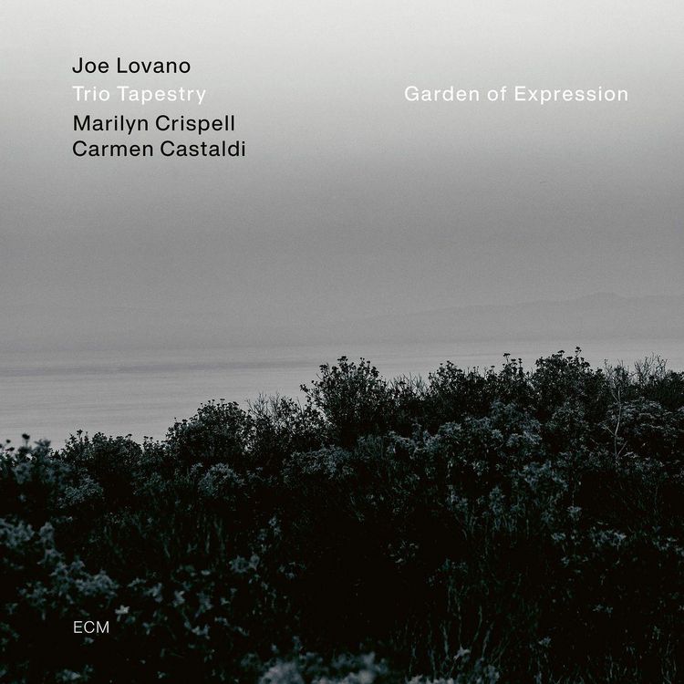 Produktbild: Garden of Expression
