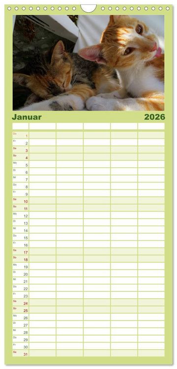 Produktbild: Familienplaner 2026 - SAMTPFOTEN "fellnah" mit 5 Spalten (Wandkalender, 21 x 45 cm) CALVENDO